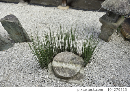 瑞鳳院坪庭大德寺 瑞鳳院坪庭大德寺 104279313