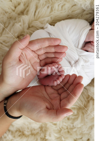 Feet of the newborn on the palms of the parents. The palms of the father and mother are holding the foot of the newborn baby in a white flokati blanket. Photography of a child's toes, heels and feet. Feet of the newborn on the palms of the parents. The palms of the father and mother are holding the foot of the newborn baby in a white flokati blanket. Photography of a child's toes, heels and feet. 104279361
