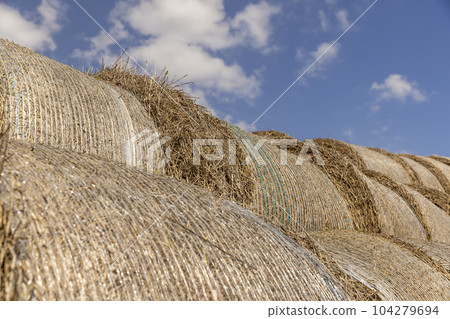 stacked straw stacks in the spring season remaining in the field 104279694