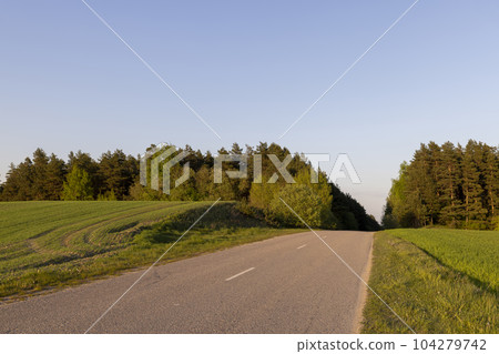paved road in the spring season during sunset paved road in the spring season during sunset 104279742