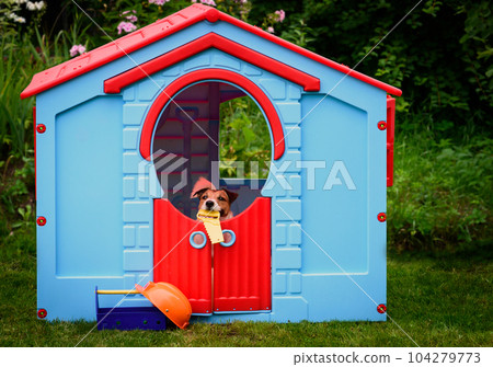 Dog building doghouse in garden with tool box and hardhat Dog building doghouse in garden with tool box and hardhat 104279773