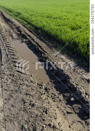 poor rural road without asphalt or other pavement poor rural road without asphalt or other pavement 104279783