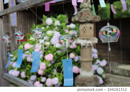 A summer tradition: wind chimes and hydrangeas 104281312