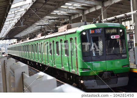 Tokyu Series 5000 Train Blue Frog 104281450
