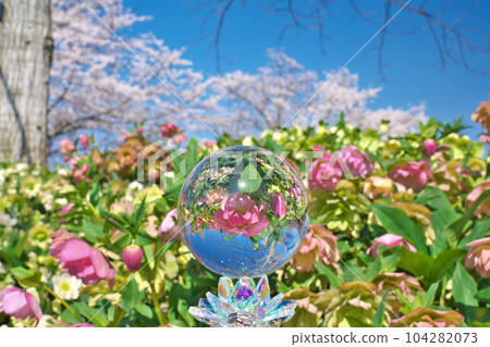 [草津市立水生植物公園水森林（水晶球）] 滋賀縣草津市下物町 104282073