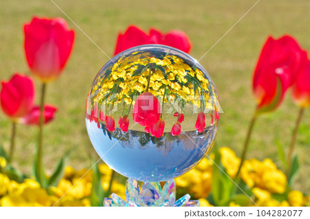 [草津市立水生植物公園水森林（水晶球）] 滋賀縣草津市下物町 104282077