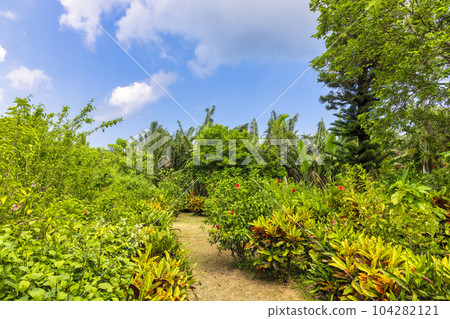 Yubu Island (October, Iriomote Island, sunny) Yubu Island (October, Iriomote Island, sunny) 104282121
