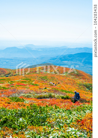 秋季攀登栗駒山（中央路線）：上帝的地毯 104283438