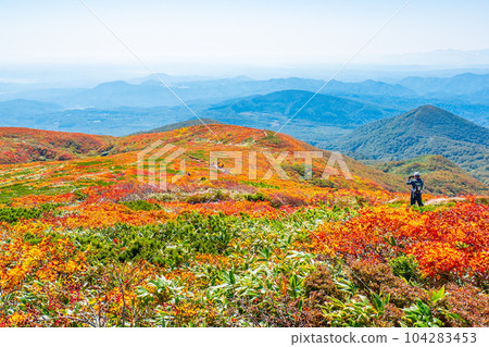 秋季攀登栗駒山（中央路線）：上帝的地毯 104283453