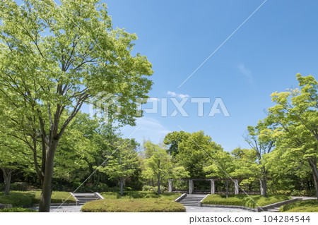 滋賀縣大津市 陽光宜人的公園風景 琵琶湖文化公園 104284544