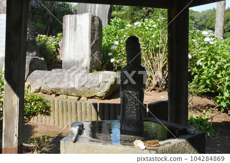 千葉縣香取郡多古町日本寺廟的繡球花和觀音 千葉縣香取郡多古町日本寺廟的繡球花和觀音 104284869