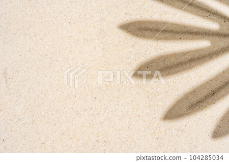 Background of palm leaf shadow on light beach sand with a place for text. Top view. 104285034