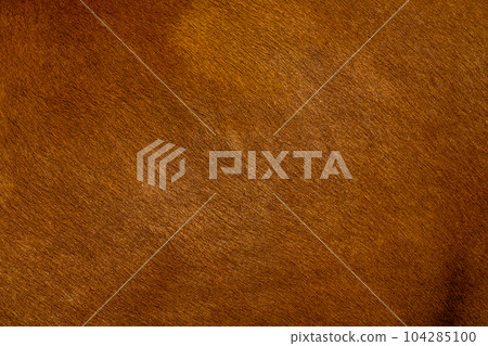 Dark brown color leather skin natural, animal haire of fur cow lether. Abstract background. Natural brown fur texture. 104285100