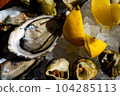 Fresh oysters and whelk platter with lemon on the ice. 104285113