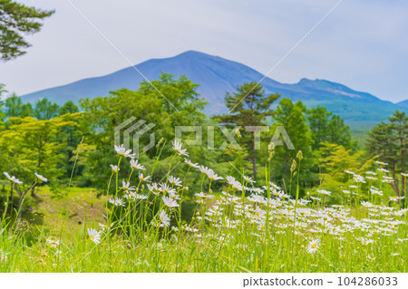 Mt. Asama Asama Plateau Karuizawa Summer landscape material Mt. Asama Asama Plateau Karuizawa Summer landscape material 104286033