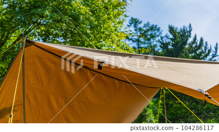 Fresh green campsite outdoor image material 104286117