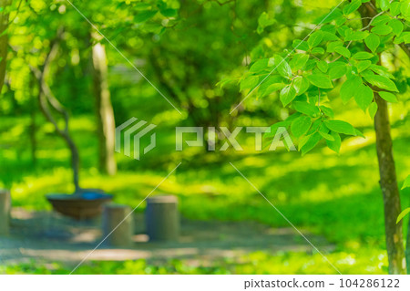 Fresh green campsite outdoor image material Fresh green campsite outdoor image material 104286122