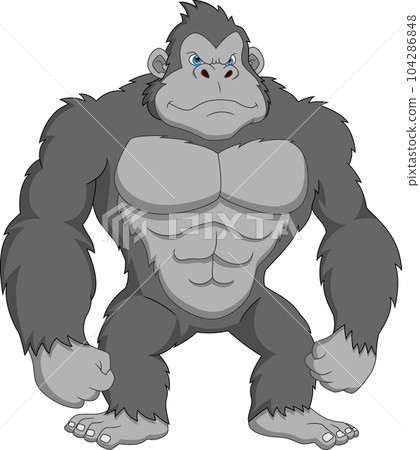 cartoon gorilla on white background 104286848
