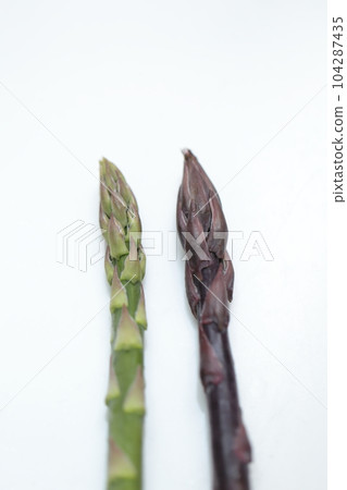 紫色和綠色蘆筍 104287435