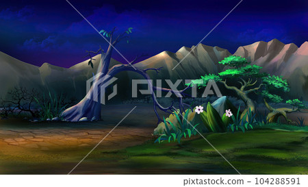 Plants in Africa at the foot of the mountains at night 104288591