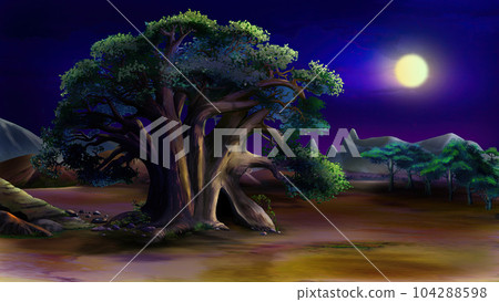 Big green tree in the African savannah at night 104288598