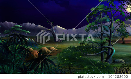 Plants in an oasis in the middle of the desert at night 104288600