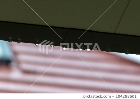 rainwater dripping from eaves 104288601