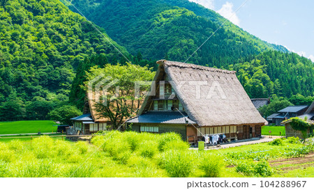Gokayama Suganuma Gassho-zukuri Village (Summer) 104288967