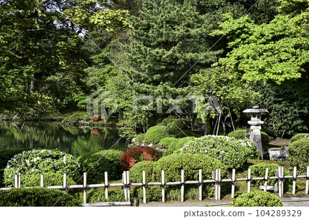 Spring in Kenrokuen with beautiful fresh greenery Spring in Kenrokuen with beautiful fresh greenery 104289329