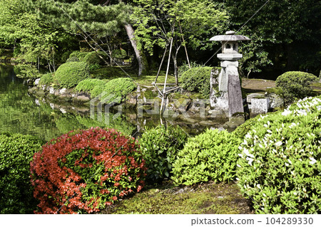 春天的兼六園，綠意盎然 104289330