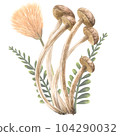 Mushrooms composition watercolor illustration. Hand drawing isolated on white background. 104290032