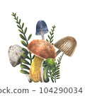 Mushrooms composition watercolor illustration. Hand drawing isolated on white background. 104290034