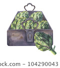 Artichoke in a metal box watercolor illustration. Hand drawn watercolor illustration isolated on white background. 104290043