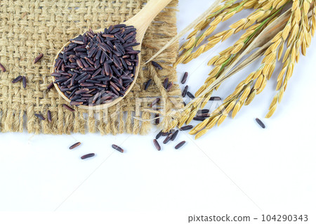 Rice berry on white background. 104290343