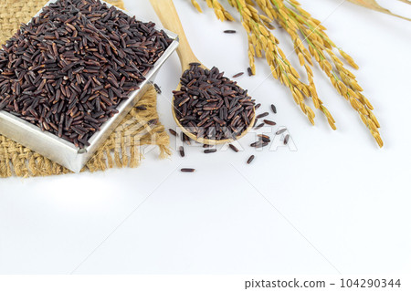 Rice berry on white background. Rice berry on white background. 104290344