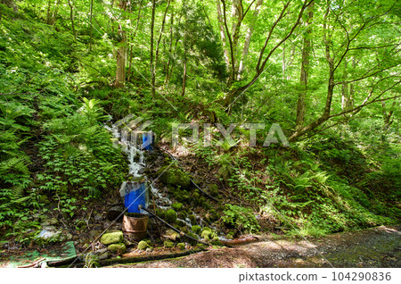 秋田縣藤裡町白神山地深山泉水 秋田縣藤裡町白神山地深山泉水 104290836