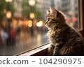 cute kitten on rainy day 104290975
