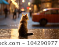 cute kitten on rainy day 104290977