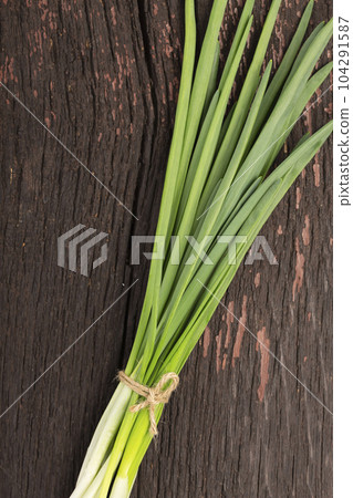 bunch of young green onions bunch of young green onions 104291587