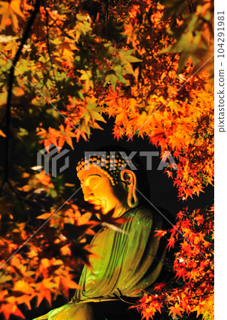 Illumination of Shurakuen Daibutsu Illumination of Shurakuen Daibutsu 104291981