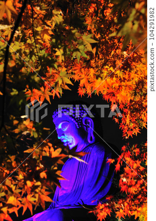 Illumination of Shurakuen Daibutsu 104291982