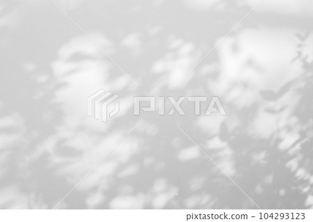 Abstract natural tree leaves shadow on white wall background 104293123