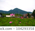 Cosmos and Mt. Nijo 104293358