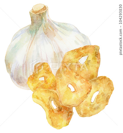 大蒜和蒜片的水彩插圖 大蒜和蒜片的水彩插圖 104293830