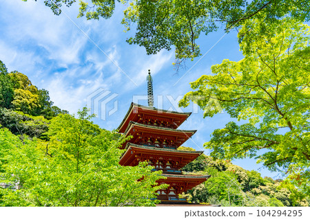 奈良縣長谷寺五層塔 104294295