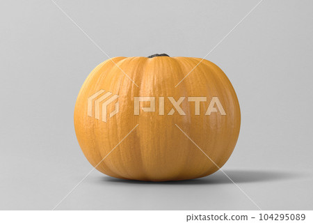 A large yellow pumpkin isolated on a gray background 104295089
