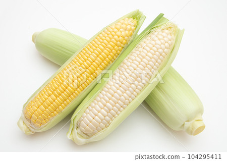 玉米 104295411