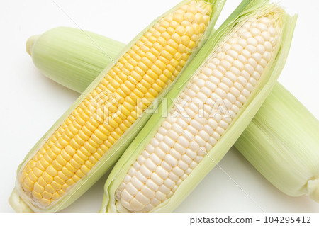 corn  104295412