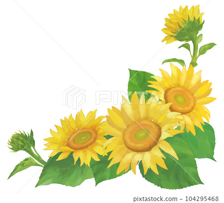 Sunflower frame material vector Sunflower frame material vector 104295468