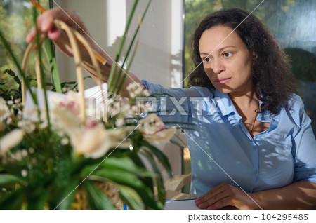 Middle aged business woman, entrepreneur, business owner, female florist holding wicker basket with composition of exotic orchid flowers for special life event. People. Hobby. Small business. Startup 104295485